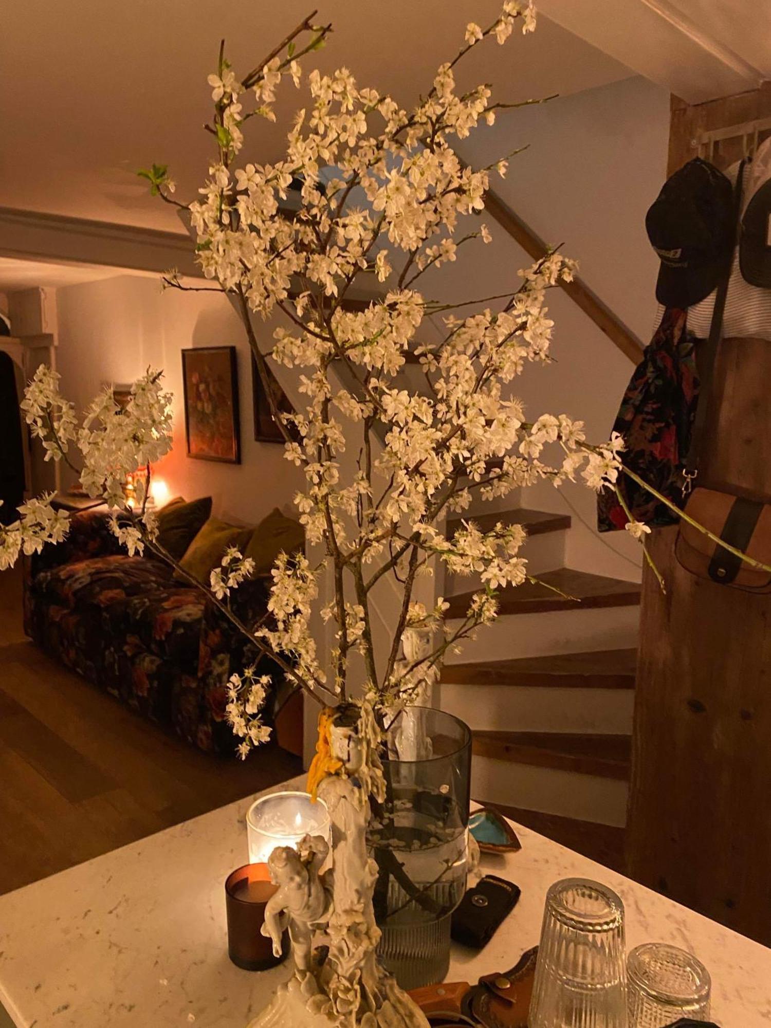 Stylish & Cosy Boutique Townhouse 1 Bedroom, 1 Sofa Bed - Sleeps 4 Крайстчърч Екстериор снимка